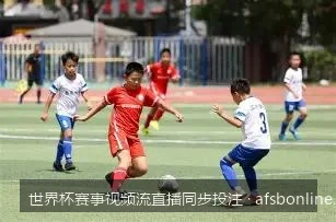 边看边买新体验：世界杯赛事同步投注平台选择与避坑指南